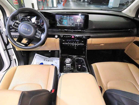 Kia Carnival — photo 10