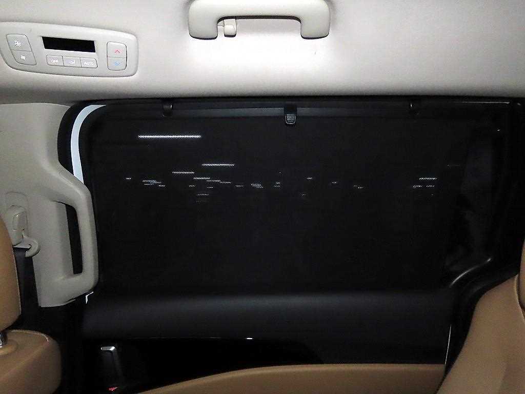 Kia Carnival — photo 13