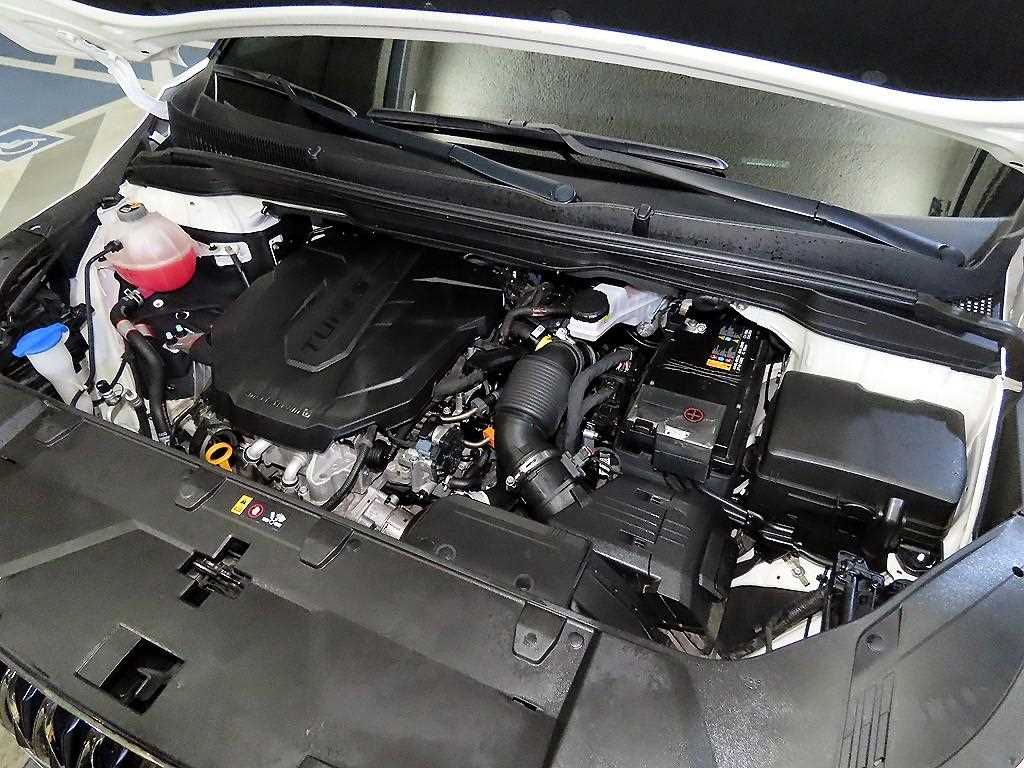 Kia Carnival — photo 19