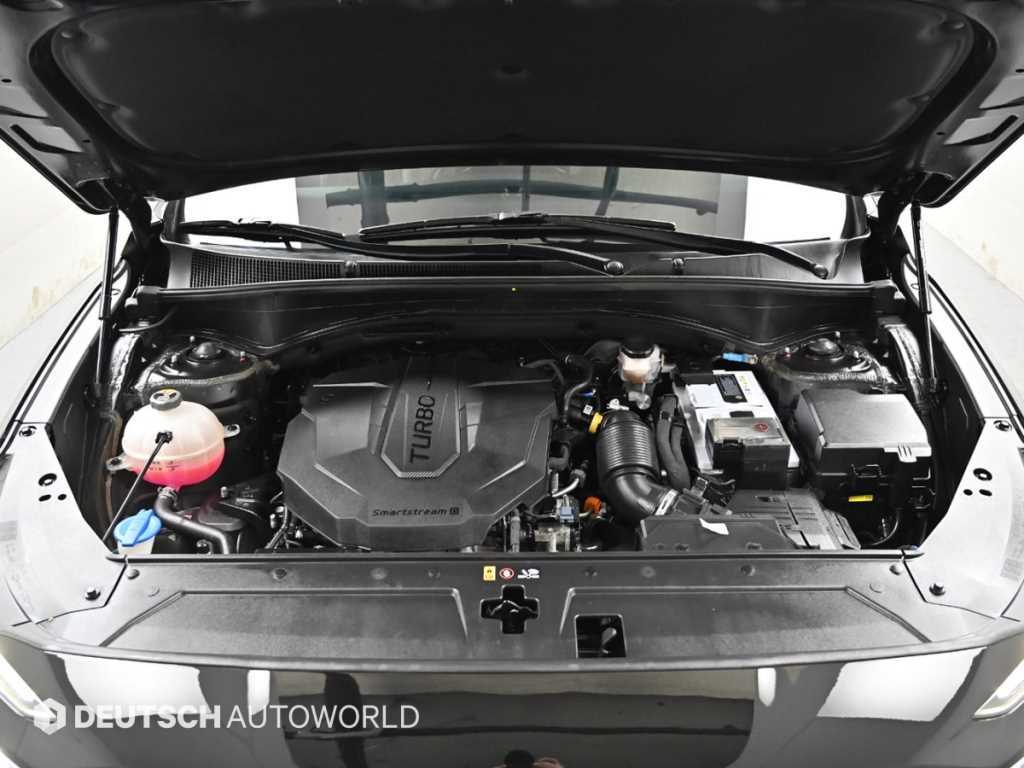 Hyundai Santafe — photo 06