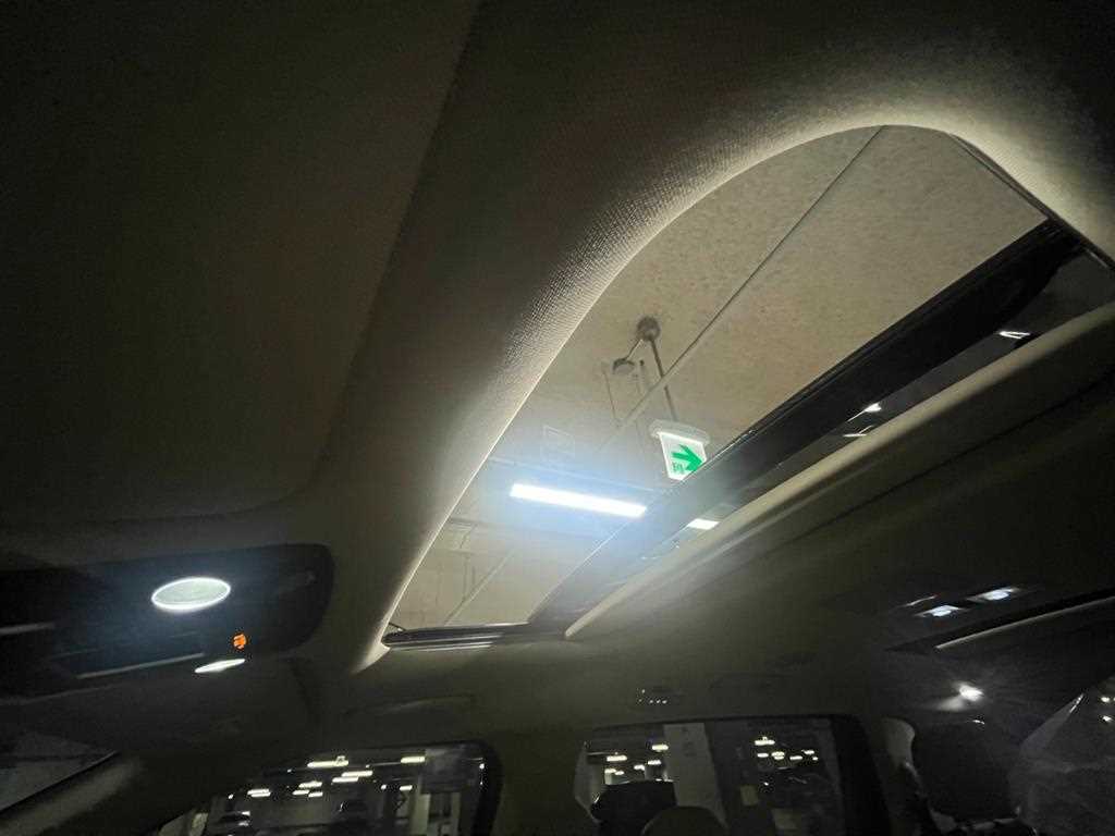 Kia Carnival — photo 18