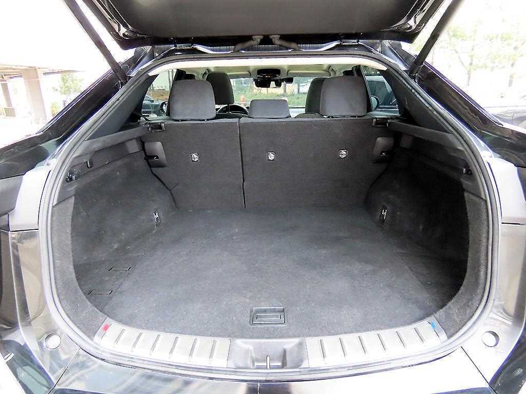 Lexus RZ — photo 17