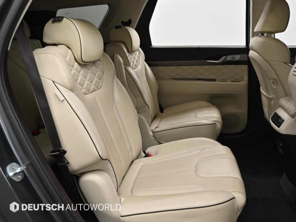 Hyundai Palisade — photo 12