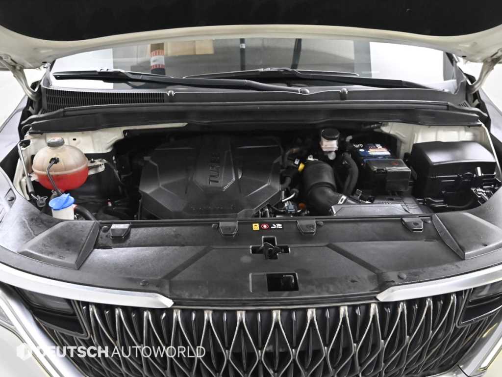 Kia Carnival — photo 06