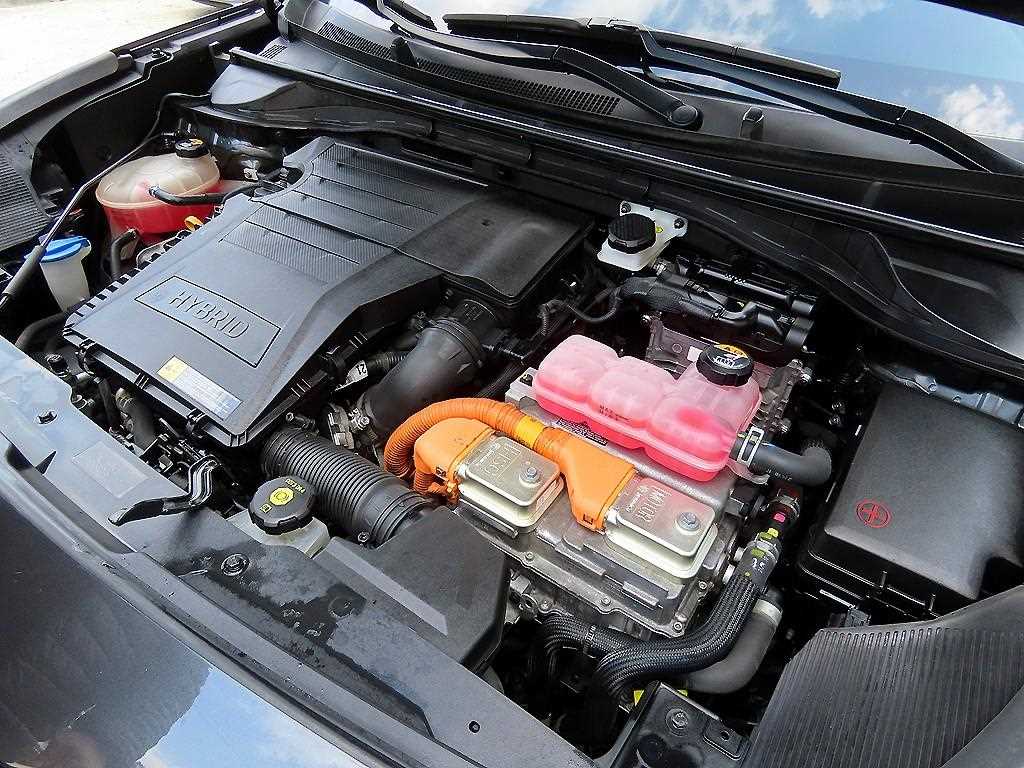 Kia Niro — photo 18