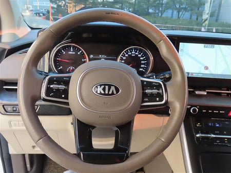 Kia Carnival — photo 10