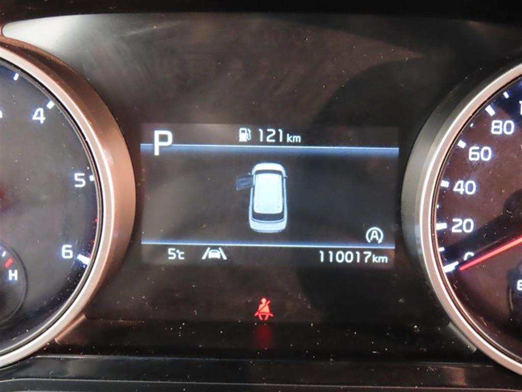 Kia Carnival — photo 13