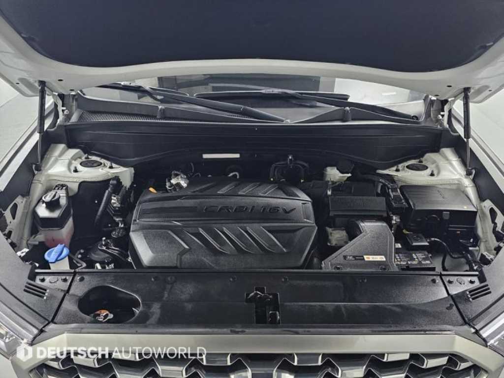Hyundai Palisade — photo 06