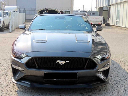 Ford Mustang — photo 06