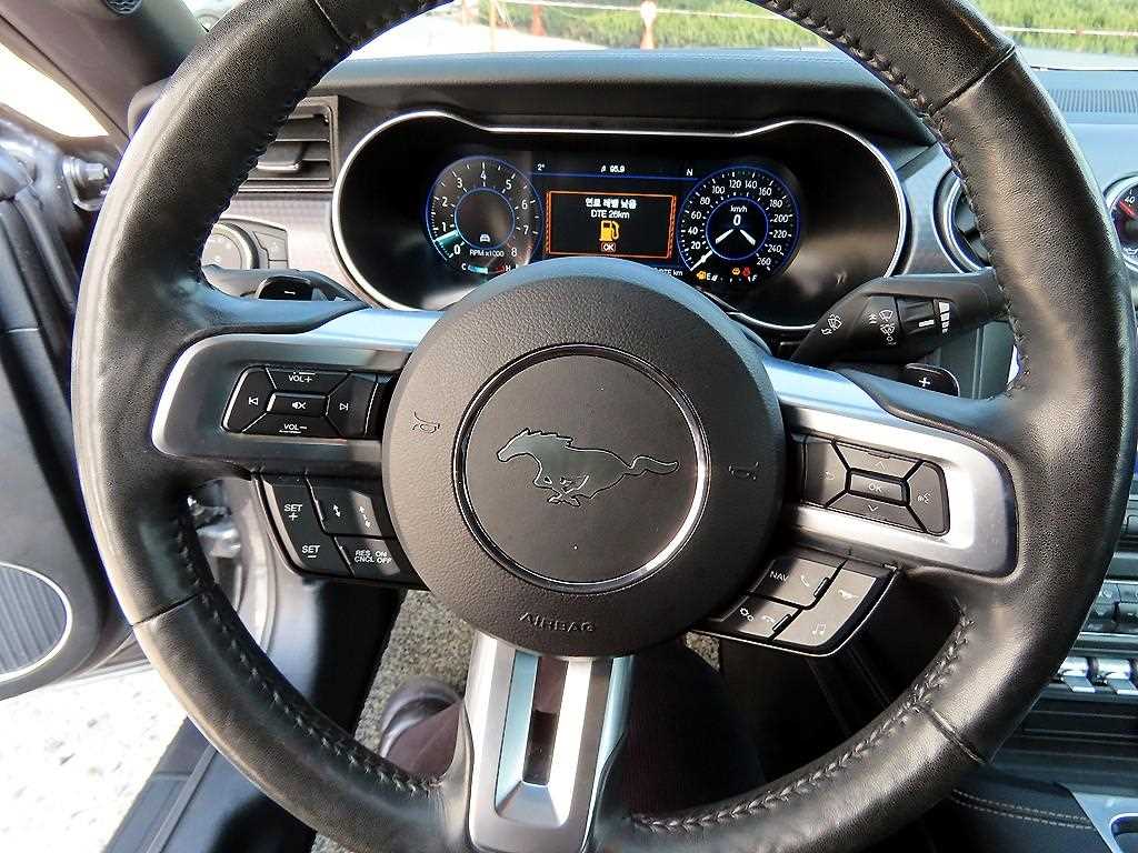 Ford Mustang — photo 12