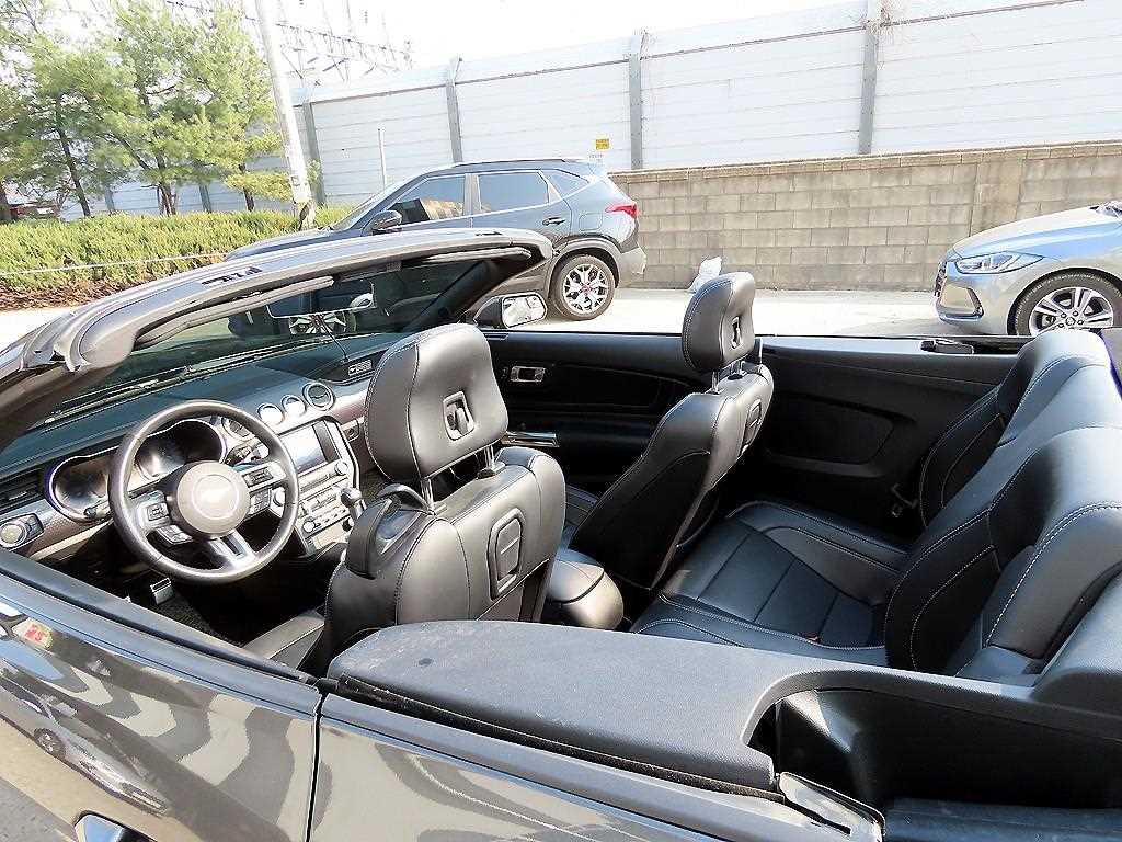 Ford Mustang — photo 17