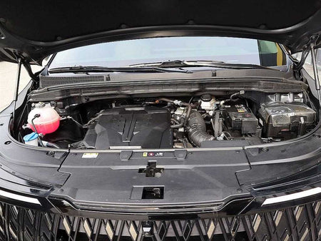 Kia Carnival — photo 19