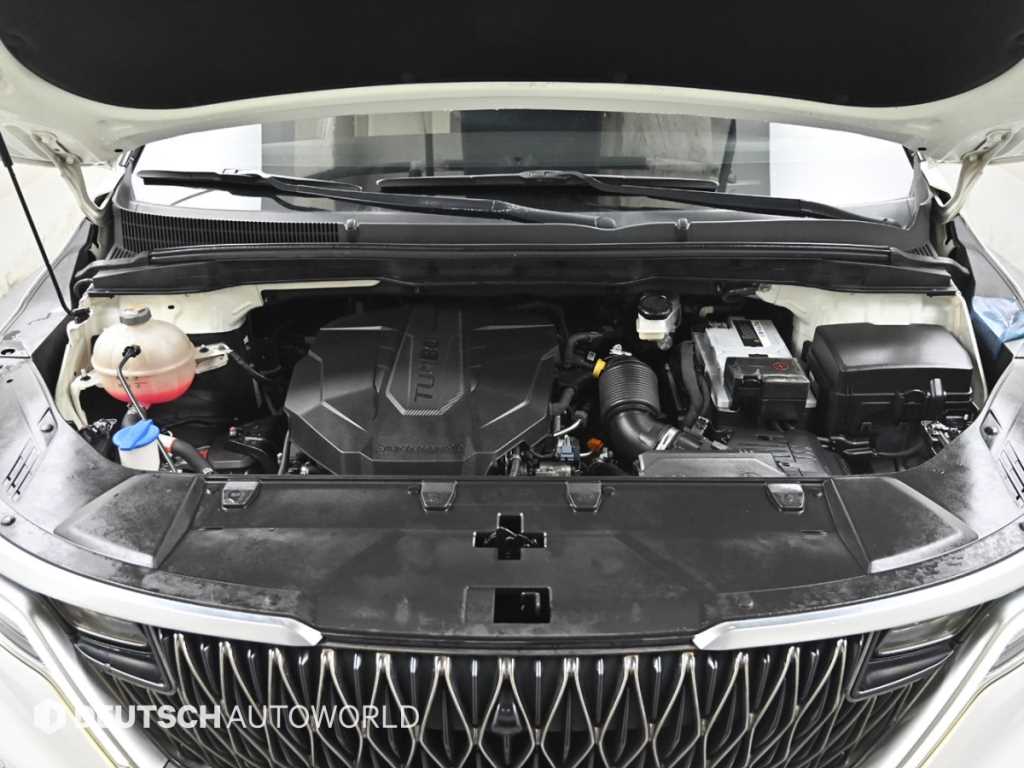 Kia Carnival — photo 06