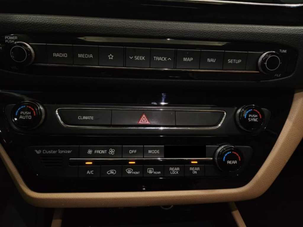 Kia Carnival — photo 14