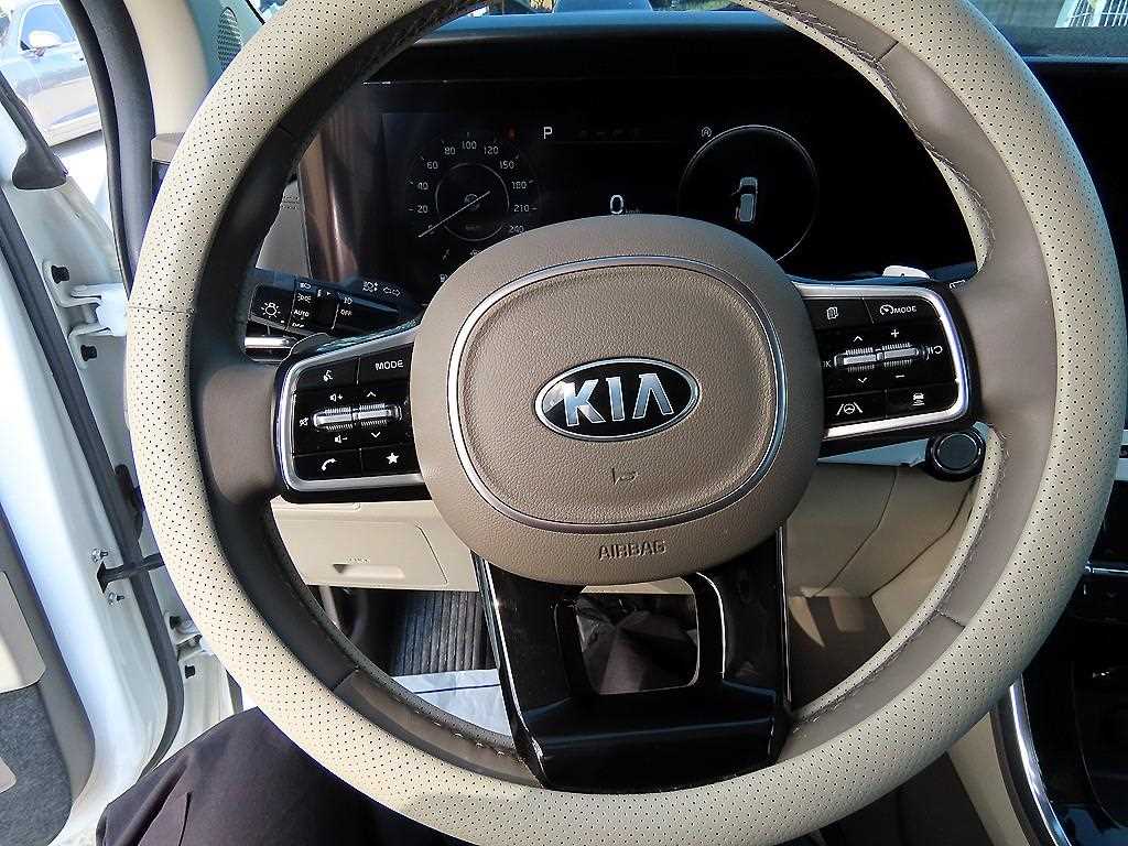 Kia Carnival — photo 08
