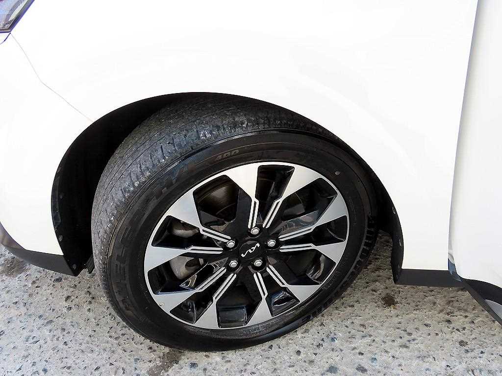 Kia Carnival — photo 20