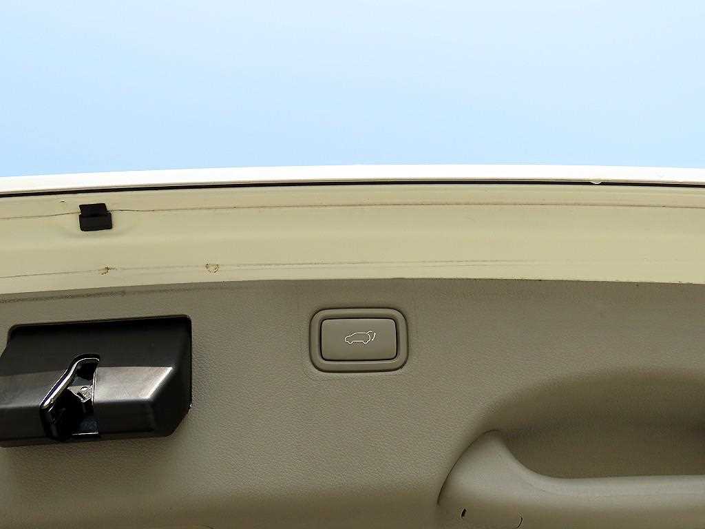 Kia Carnival — photo 17