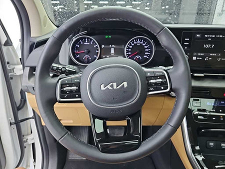 Kia Carnival — photo 09