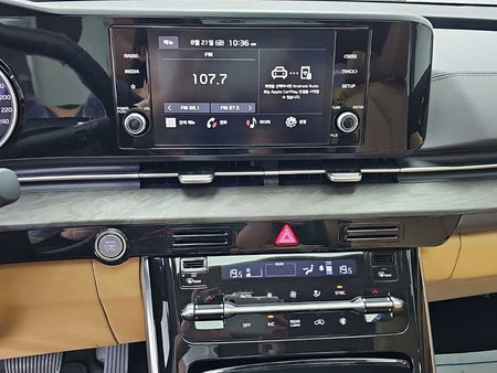 Kia Carnival — photo 10
