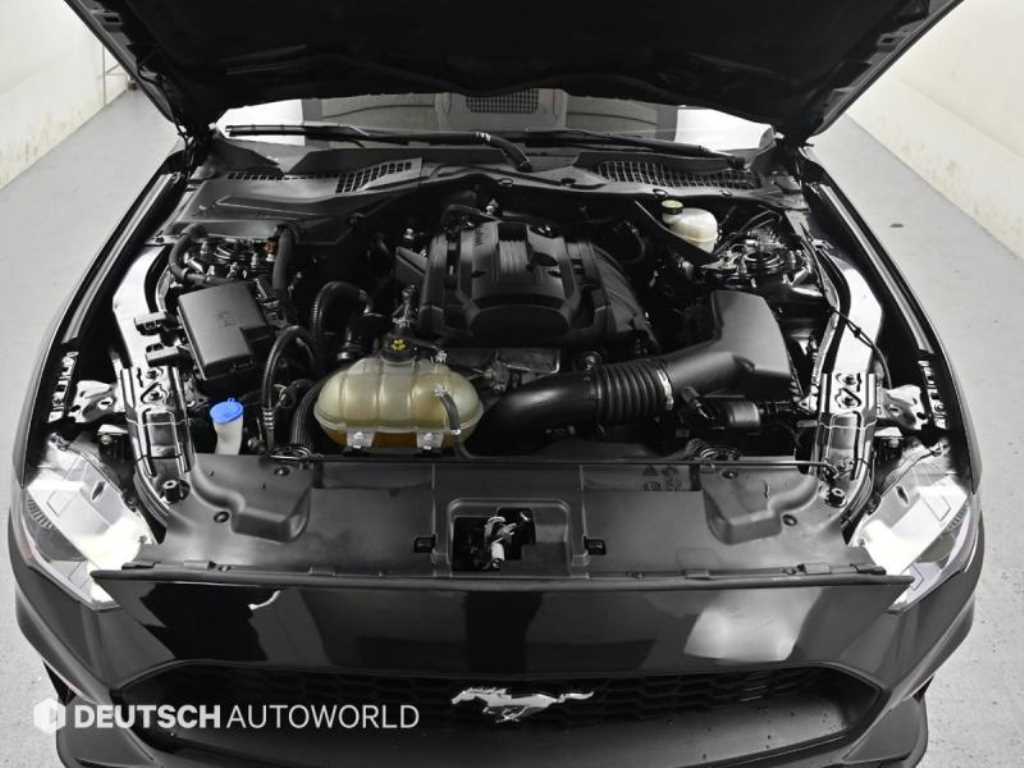 Ford Mustang — photo 06