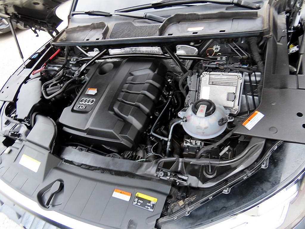 Audi Q5 — photo 19