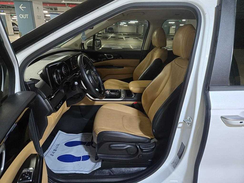 Kia Carnival — photo 06