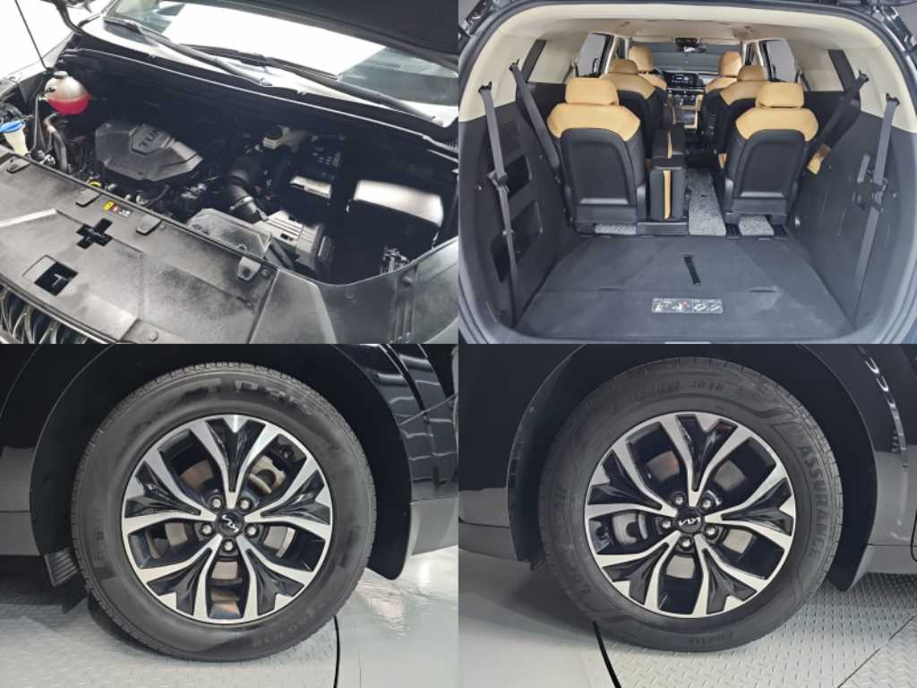 Kia Carnival — photo 20