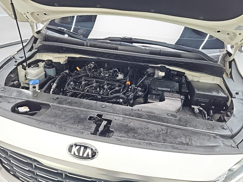 Kia Carnival — photo 05