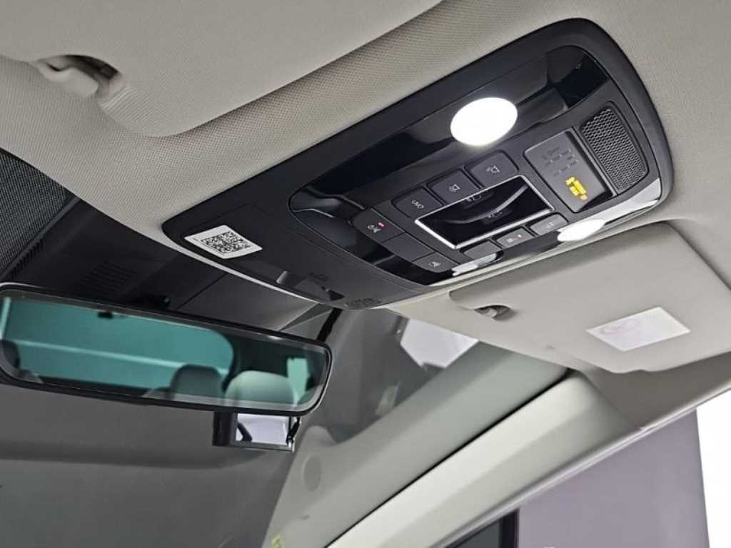 Kia Carnival — photo 14
