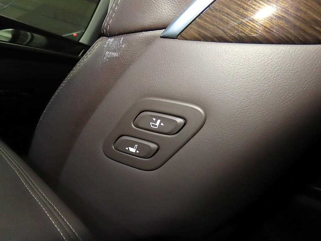 Genesis EQ900 — photo 16