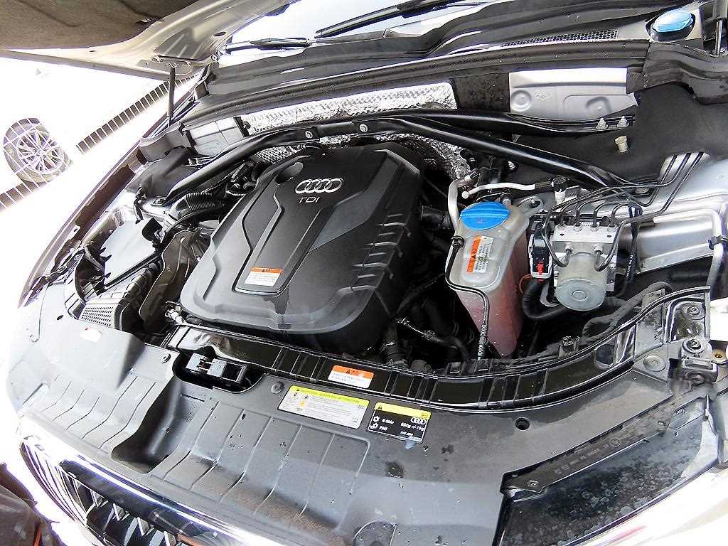 Audi Q5 — photo 19
