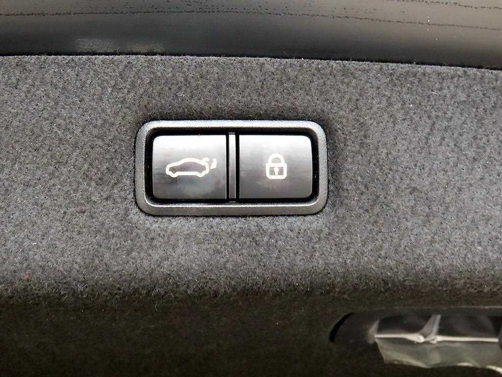 Genesis EQ900 — photo 16
