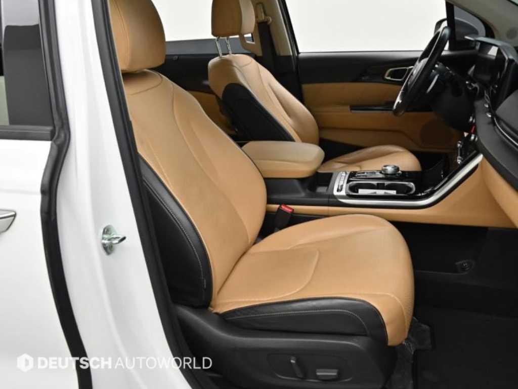 Kia Carnival — photo 10