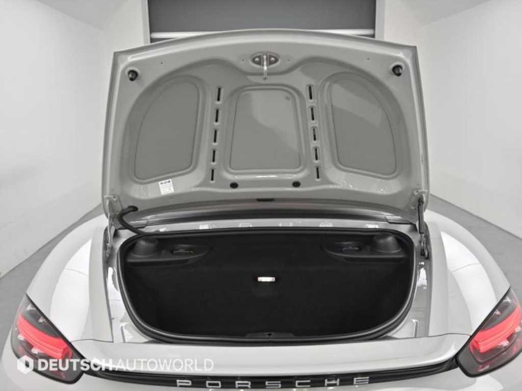 Porsche 718 — photo 19
