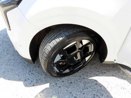 Kia Carnival — photo 20