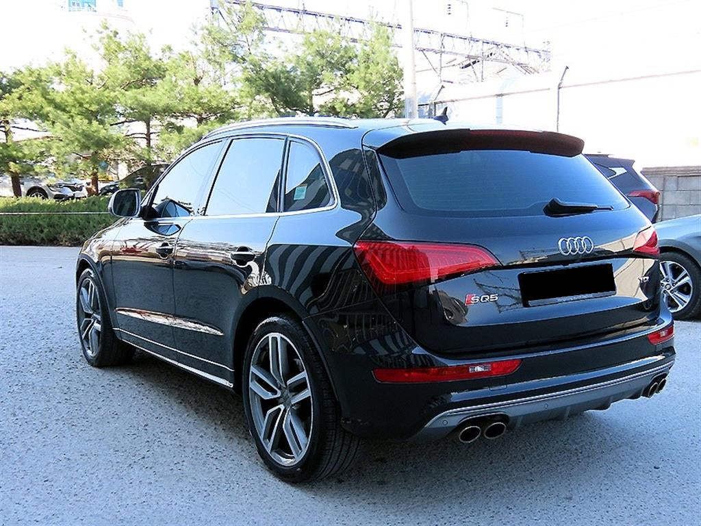 Audi SQ5 — photo 03
