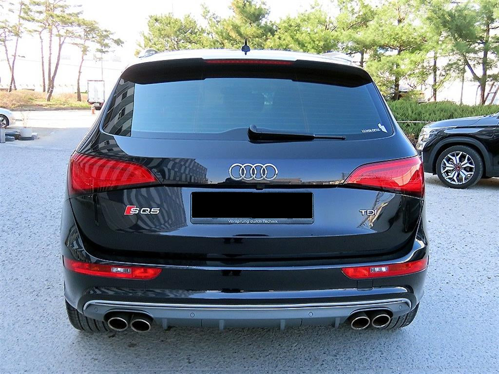 Audi SQ5 — photo 04