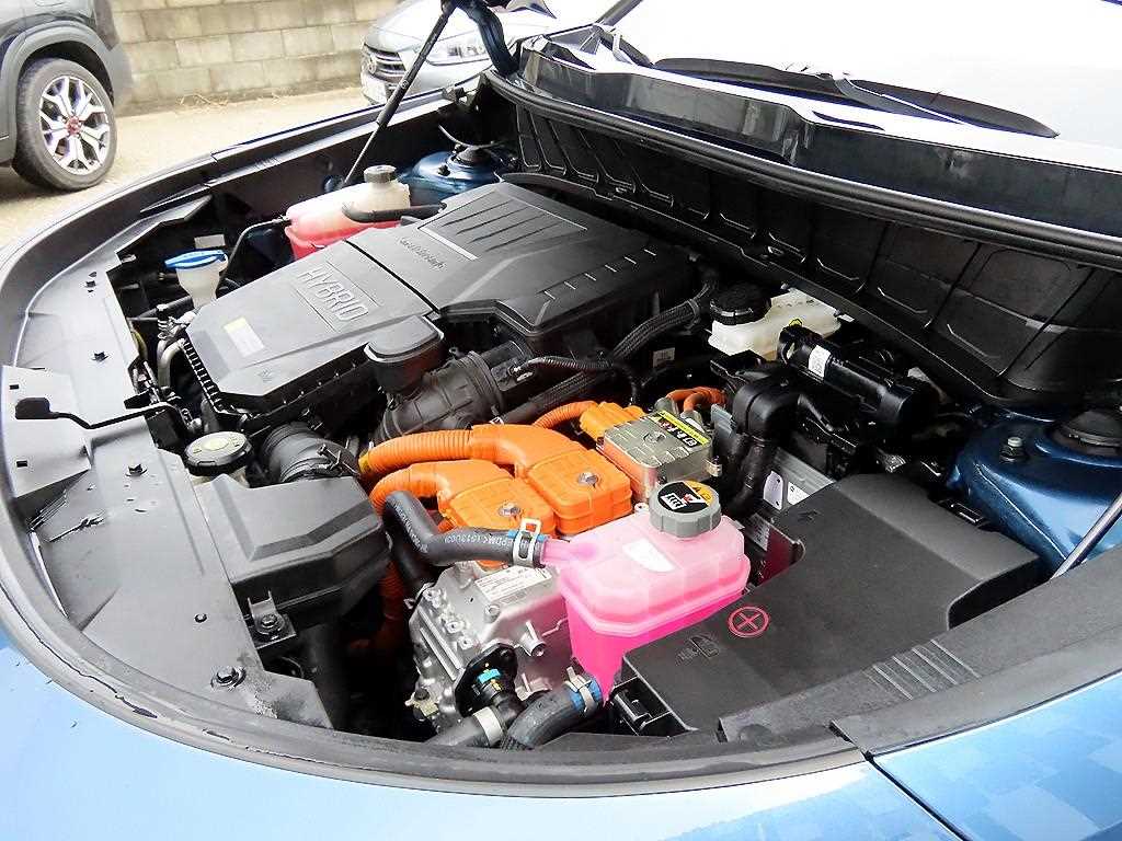 Kia Niro — photo 19