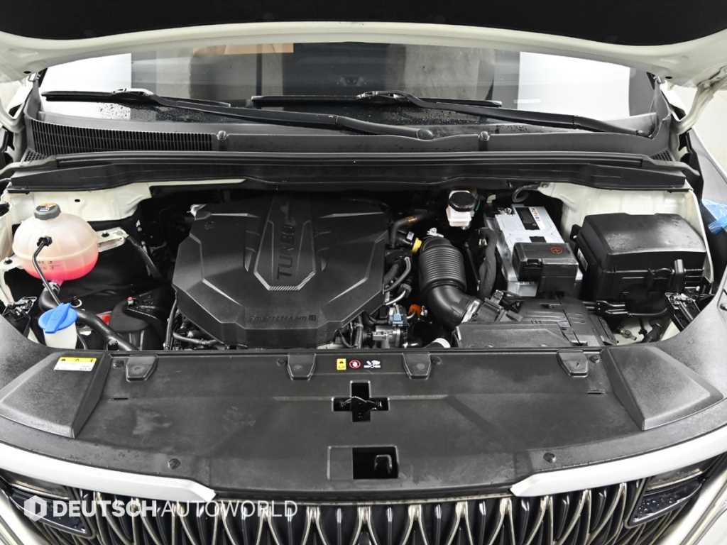 Kia Carnival — photo 06