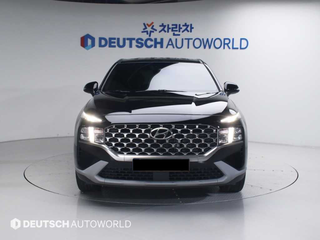 Hyundai Santafe — photo 03