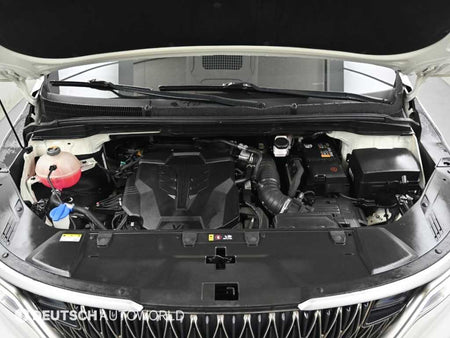 Kia Carnival — photo 06