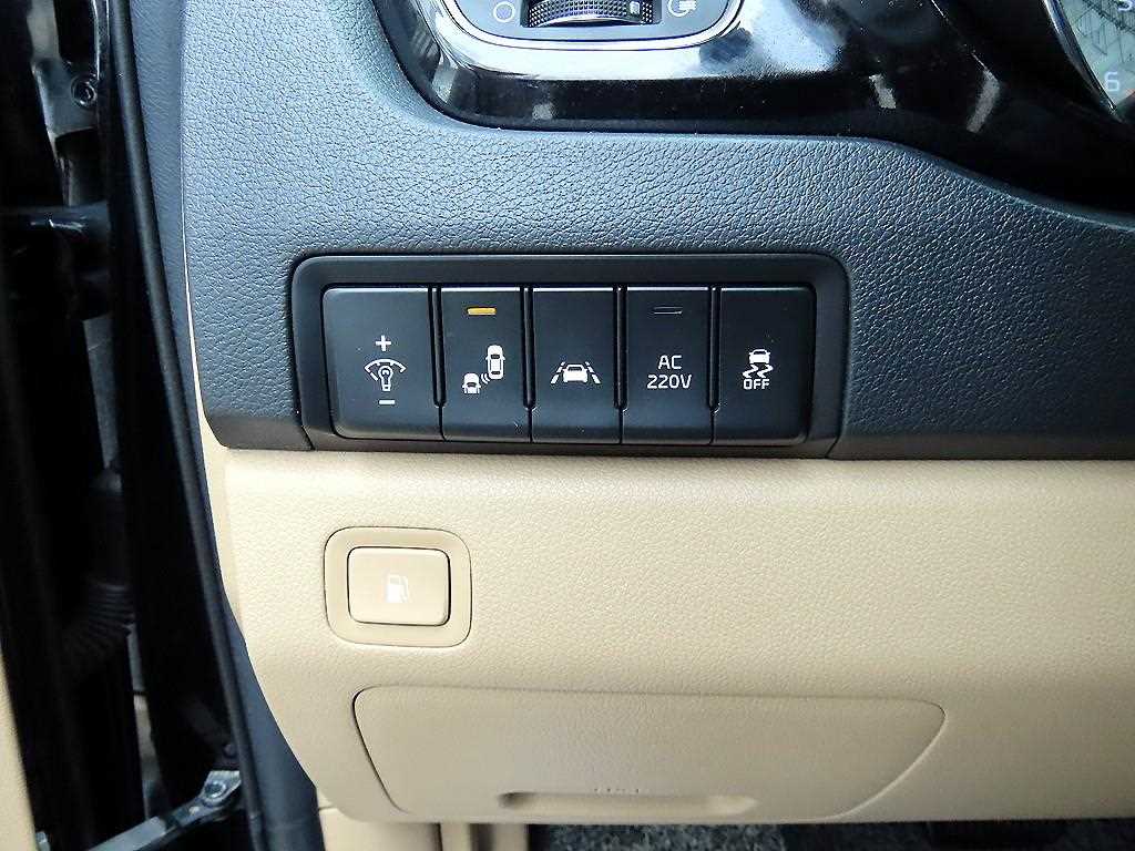 Kia Carnival — photo 12