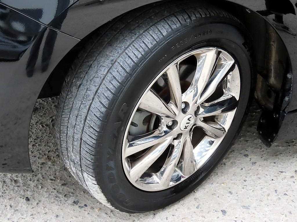 Kia Carnival — photo 20
