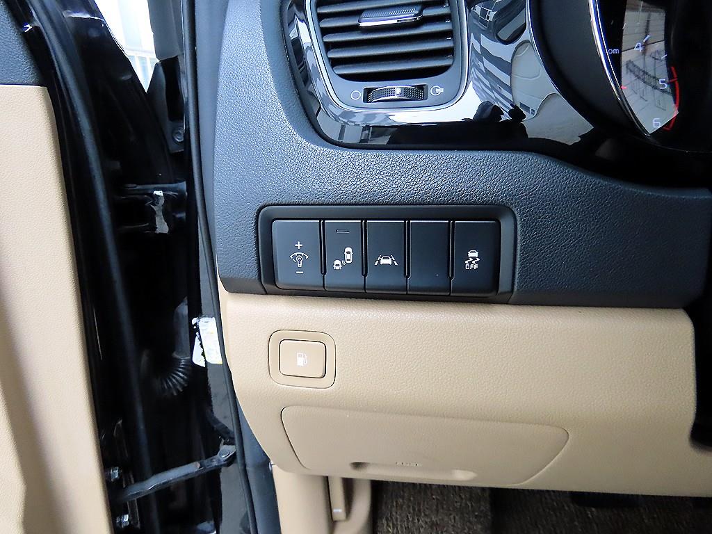 Kia Carnival — photo 12