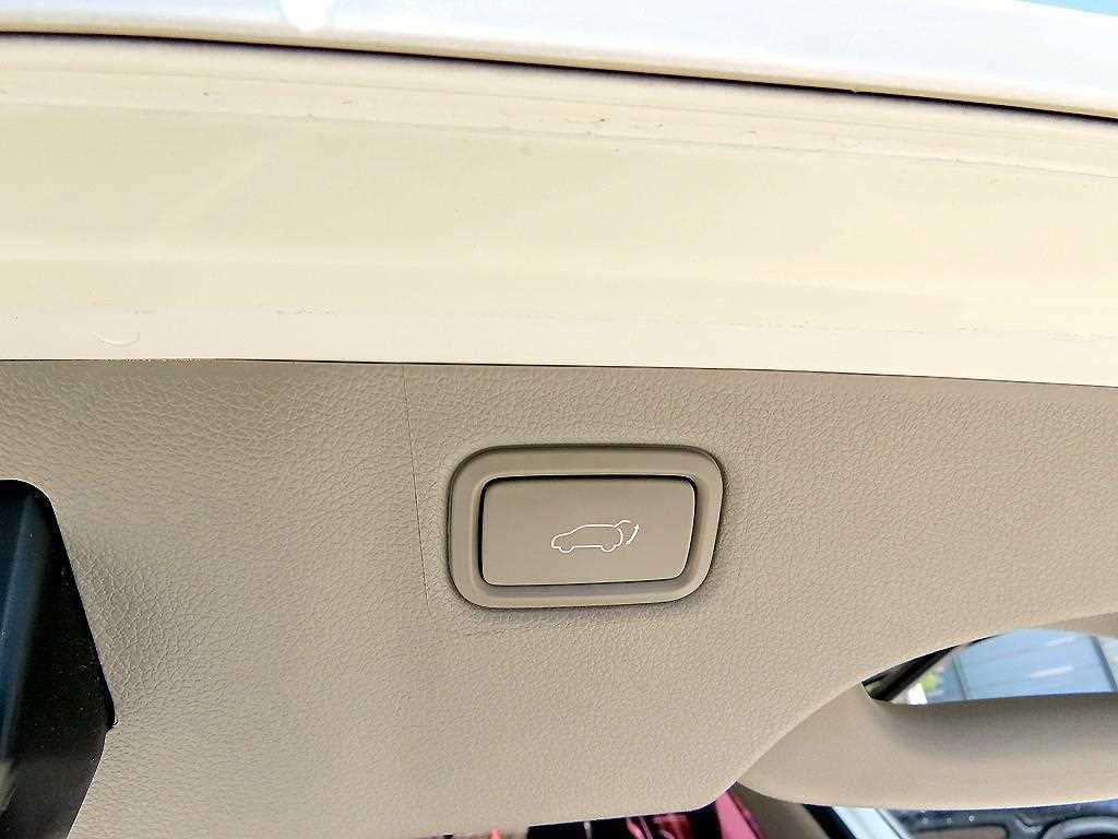 Kia Carnival — photo 16