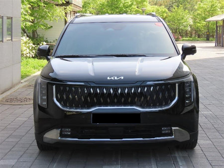 Kia Carnival — photo 01