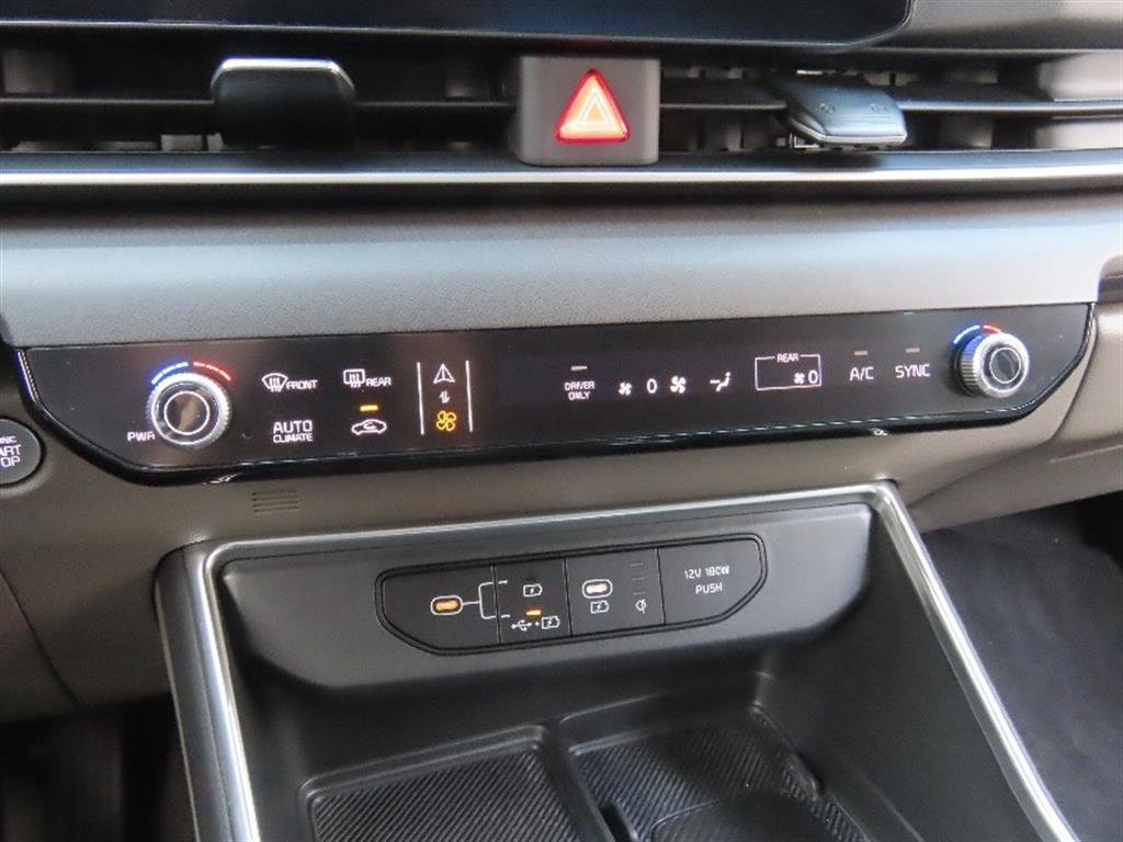 Kia Carnival — photo 07