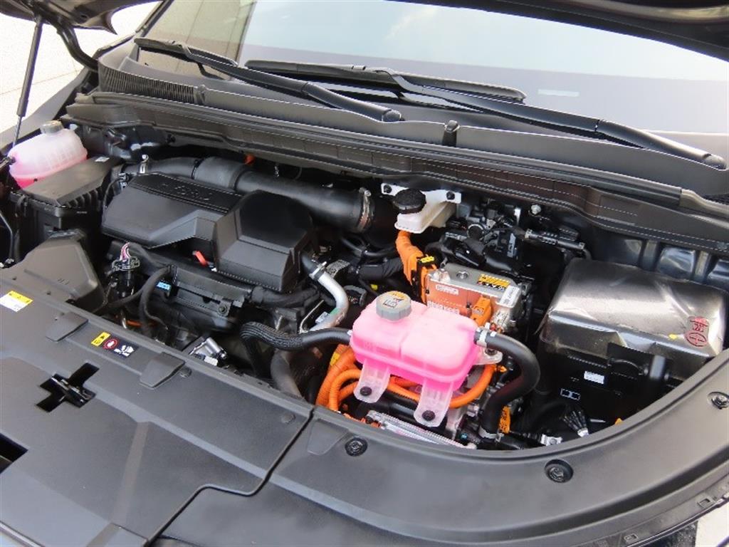 Kia Carnival — photo 20