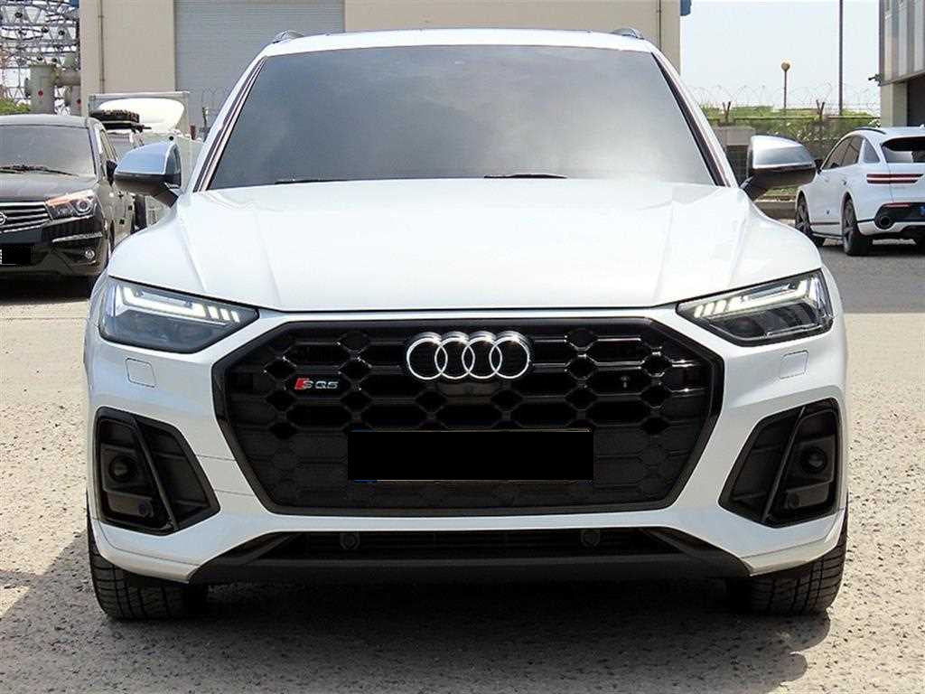 Audi SQ5 — photo 01