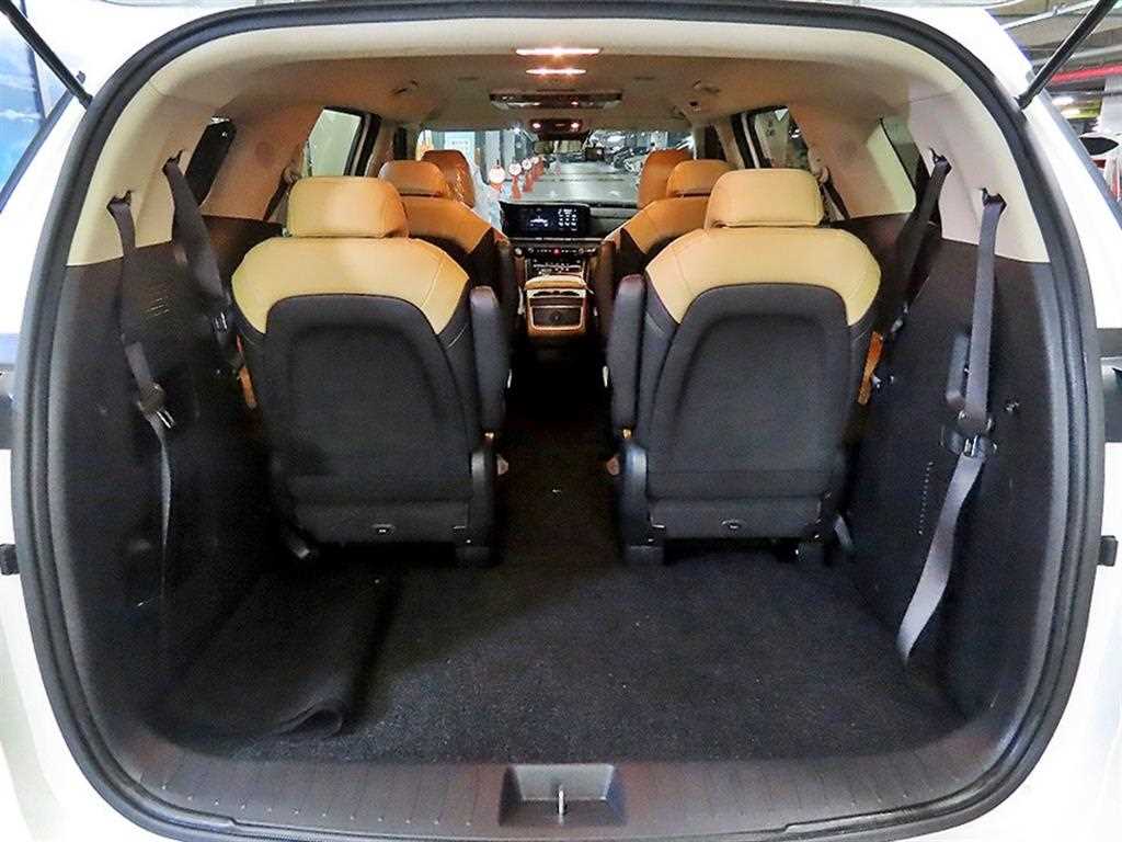 Kia Carnival — photo 16